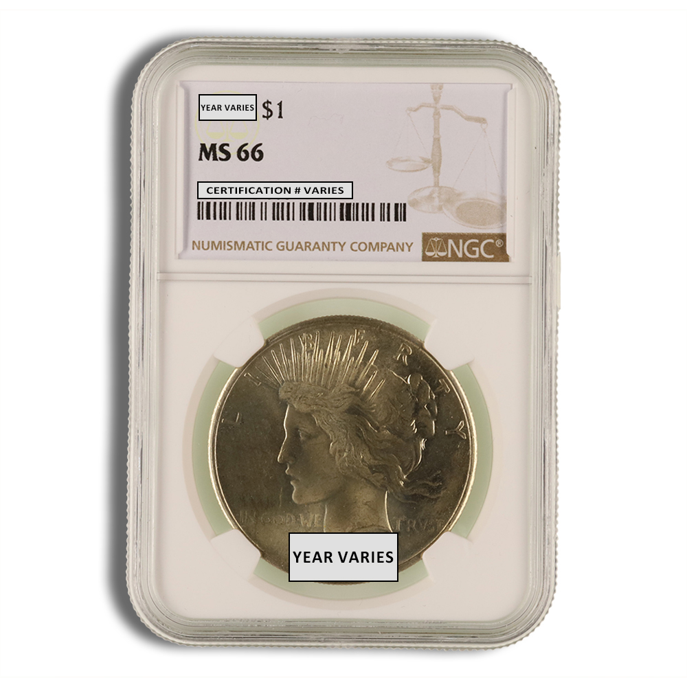 Peace Silver Dollar - NGC MS66 (Random Year)