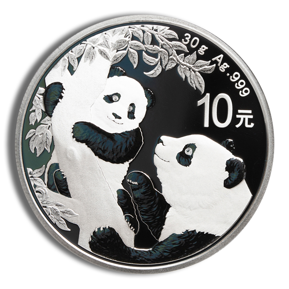 2021 30 Gram China Silver Panda - BU