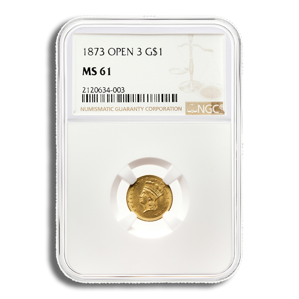 $1 Gold Indian Type 3 - NGC MS61 (Random Year)