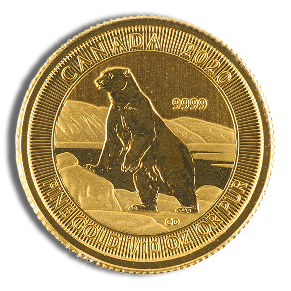 1/10 Oz Canadian Polar Bear Gold Coin - BU (Random Year)