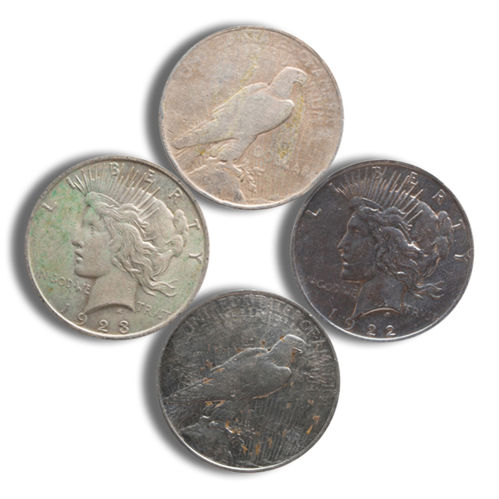 Peace Silver Dollar - Cull