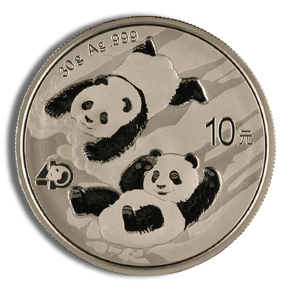 2022 30 Gram China Silver Panda - BU